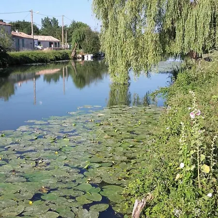 Maison Calme Au Bord De L'Eau Marans  Exterior photo