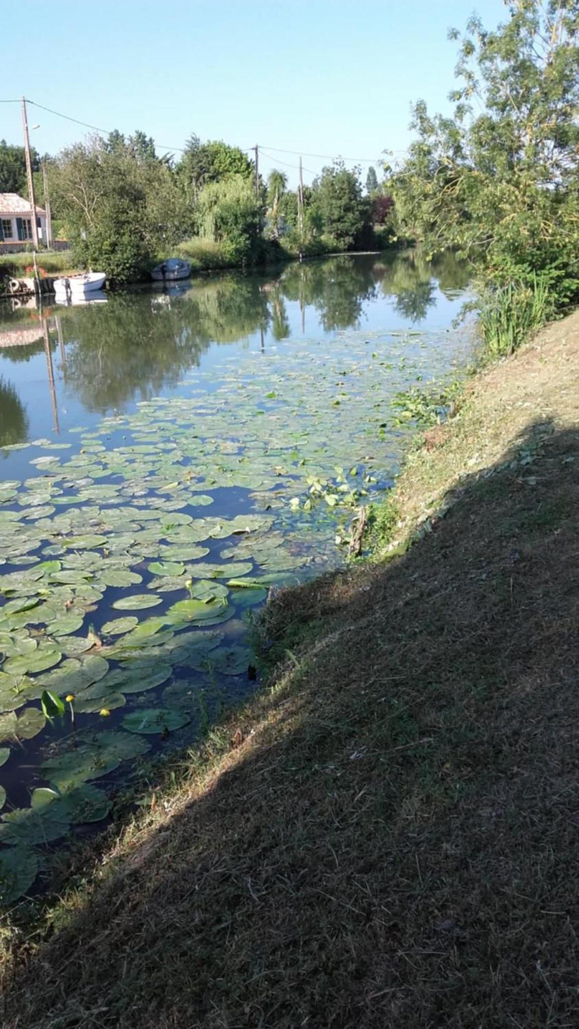 Maison Calme Au Bord De L'eau *
