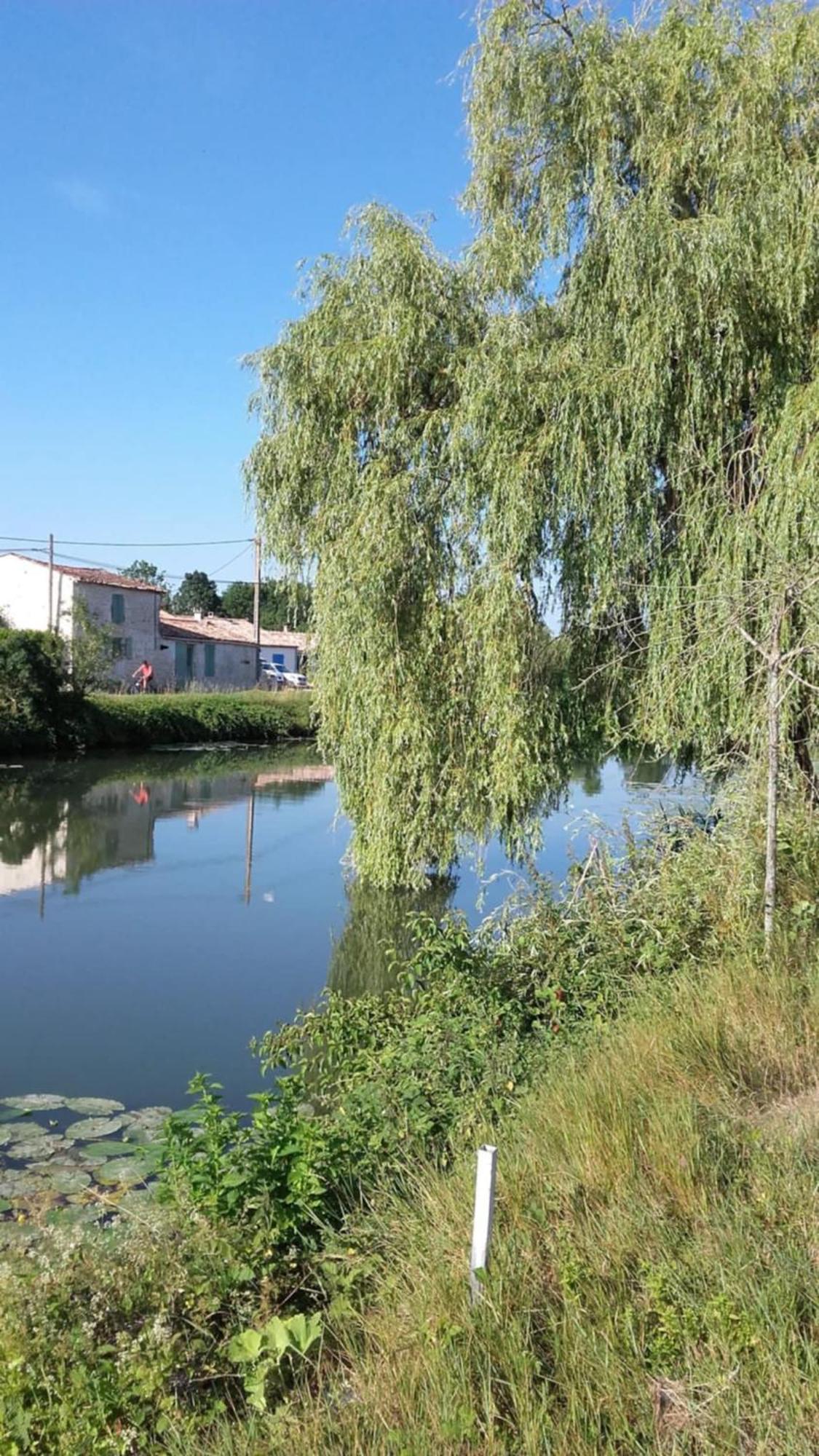 Maison Calme Au Bord De L'eau Holiday home Marans (Charente-Maritime)